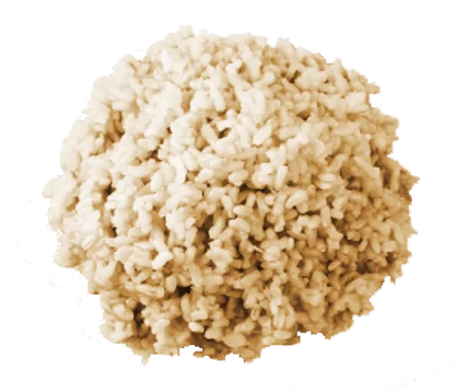 2-BROWN-RICE
