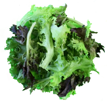 2-SPRING-MIX
