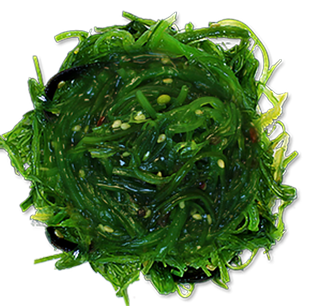 seaweed-new