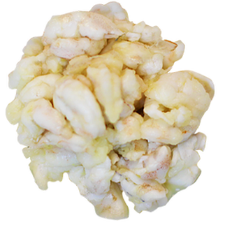 shrimp-new